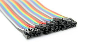 40pcs Dupont Female to Female jumper wire cable 20cm Pi Arduino Breadboard NEW